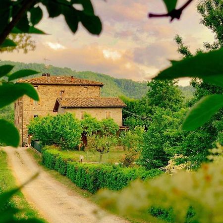 La Teggia Apartment Monte San Pietro Екстериор снимка